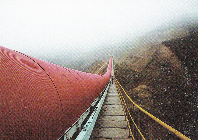 �ɹ�����