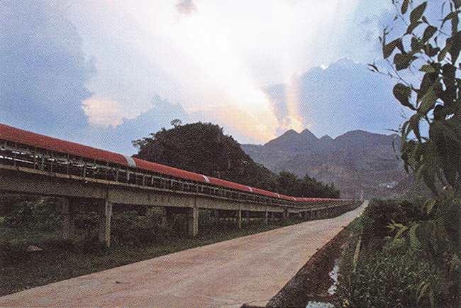 �ɹ�����